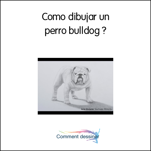 Como dibujar un perro bulldog